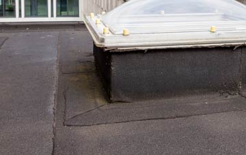 disadvantages of Hanthorpe flat roofs