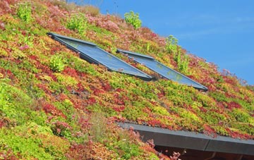 Hanthorpe living roof systems