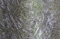 Hanthorpe fibreglass roof work